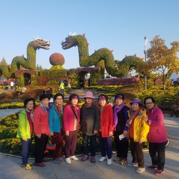 11월 2일 힐링트레킹 이미지