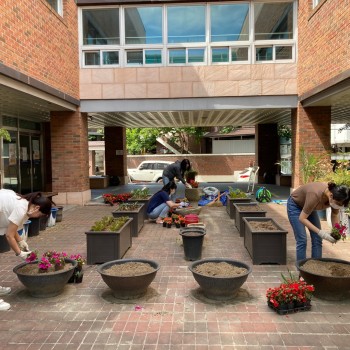 [2020.06.10] 복지관 환경정리(1,2층 화단 화분 심기) 이미지