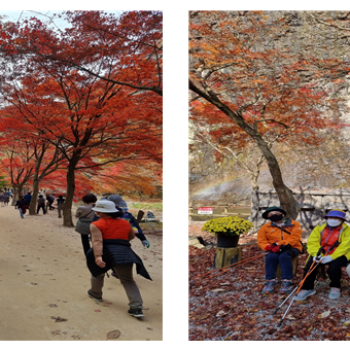 [건강증진사업] 2021년 힐링 트레킹 이미지