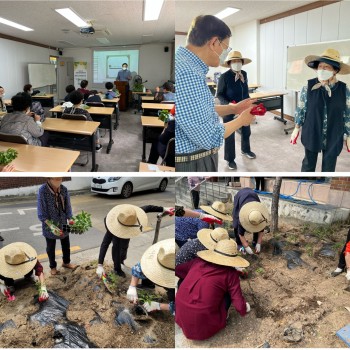 [선배시민자원봉사단] 실버그린파머 2회기 진행 이미지