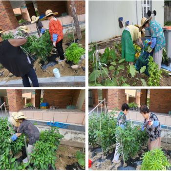 [선배시민자원봉사단] 실버그린파머 7회기 진행 이미지