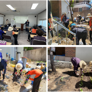 [선배시민자원봉사단] 실버그린파머 2회기 진행 이미지