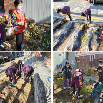 [선배시민자원봉사단] '실버그린파머' 14회기 진행 이미지