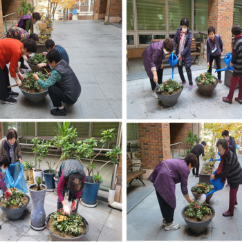 [선배시민자원봉사단] '실버그린파머' 15회기 진행 이미지
