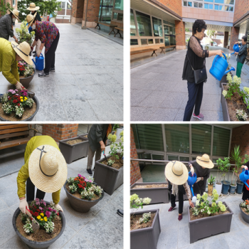 [선배시민자원봉사단] '실버그린파머' 12회기 진행 이미지