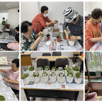 [선배시민자원봉사단] 실버그린파머 다육식물 만들기 이미지