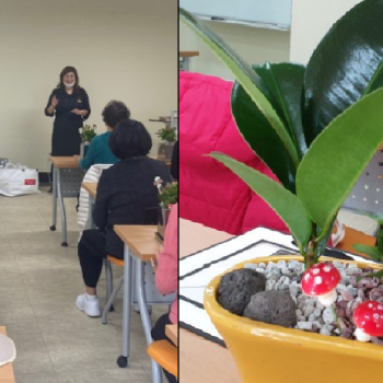 [2020.11.10.]기린봉노인복지관 특강 프로그램 &#034;공기 정화식물 만들기&#034; 이미지